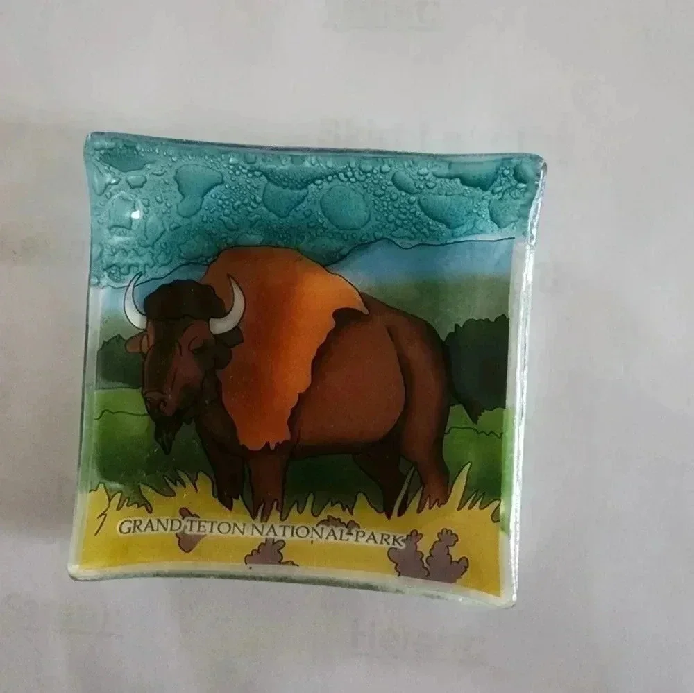 Pam Peana Buffalo - Grand Teton National Park Small Glass Tray